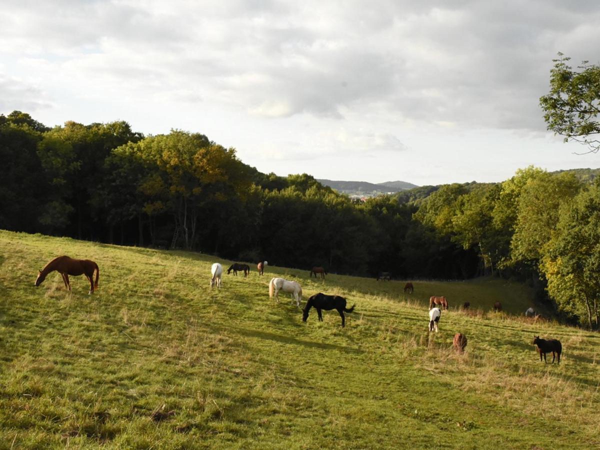 Gefildehof Goepel Leilighet Eisenach Eksteriør bilde